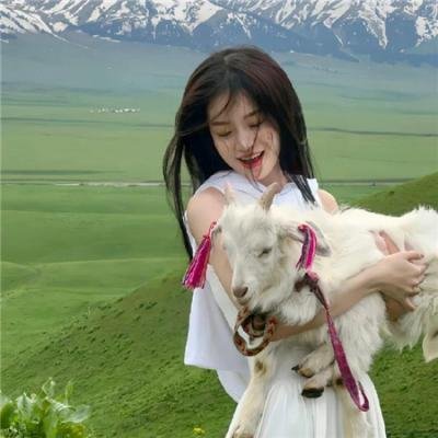 傲骨贤妻第三季