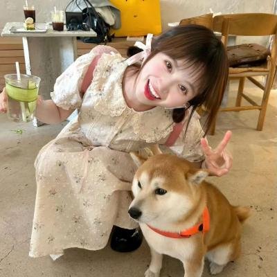 失落的边界